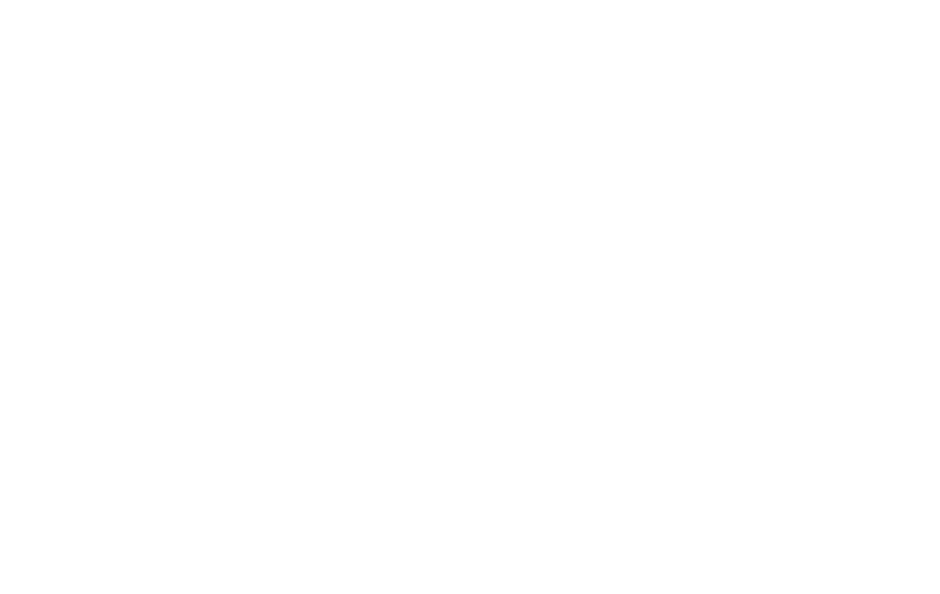 İRZ Group Logo